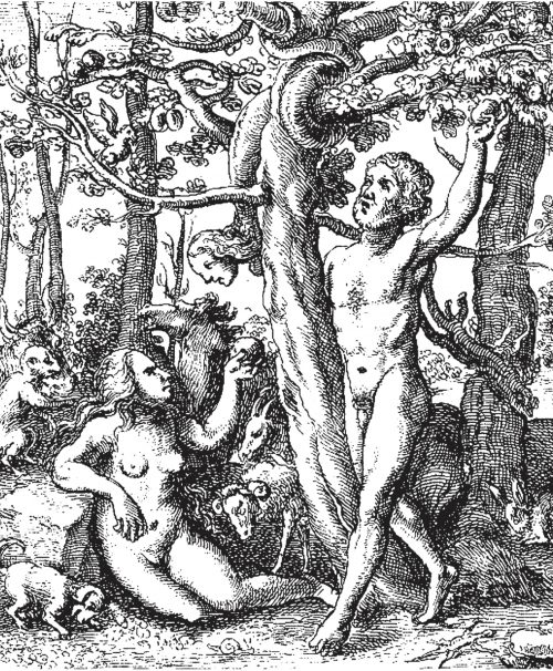 book illustration, etching of foerst deity, pictiúr leabhair, greanadóireacht de dhia coille