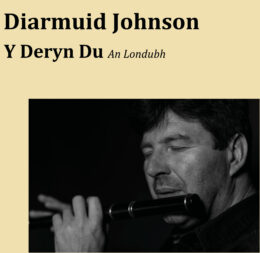 Clúdach albaim, album cover. Diarmuid Johnson ar an bhfliút, Diarmuid Johnson playing the flute.