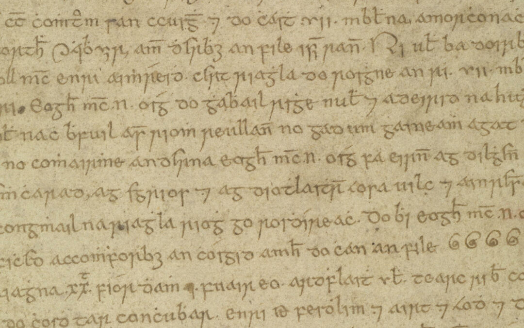 Leathanach lámhscríbhinne, maunuscript page, An Leabhar Eoghanach